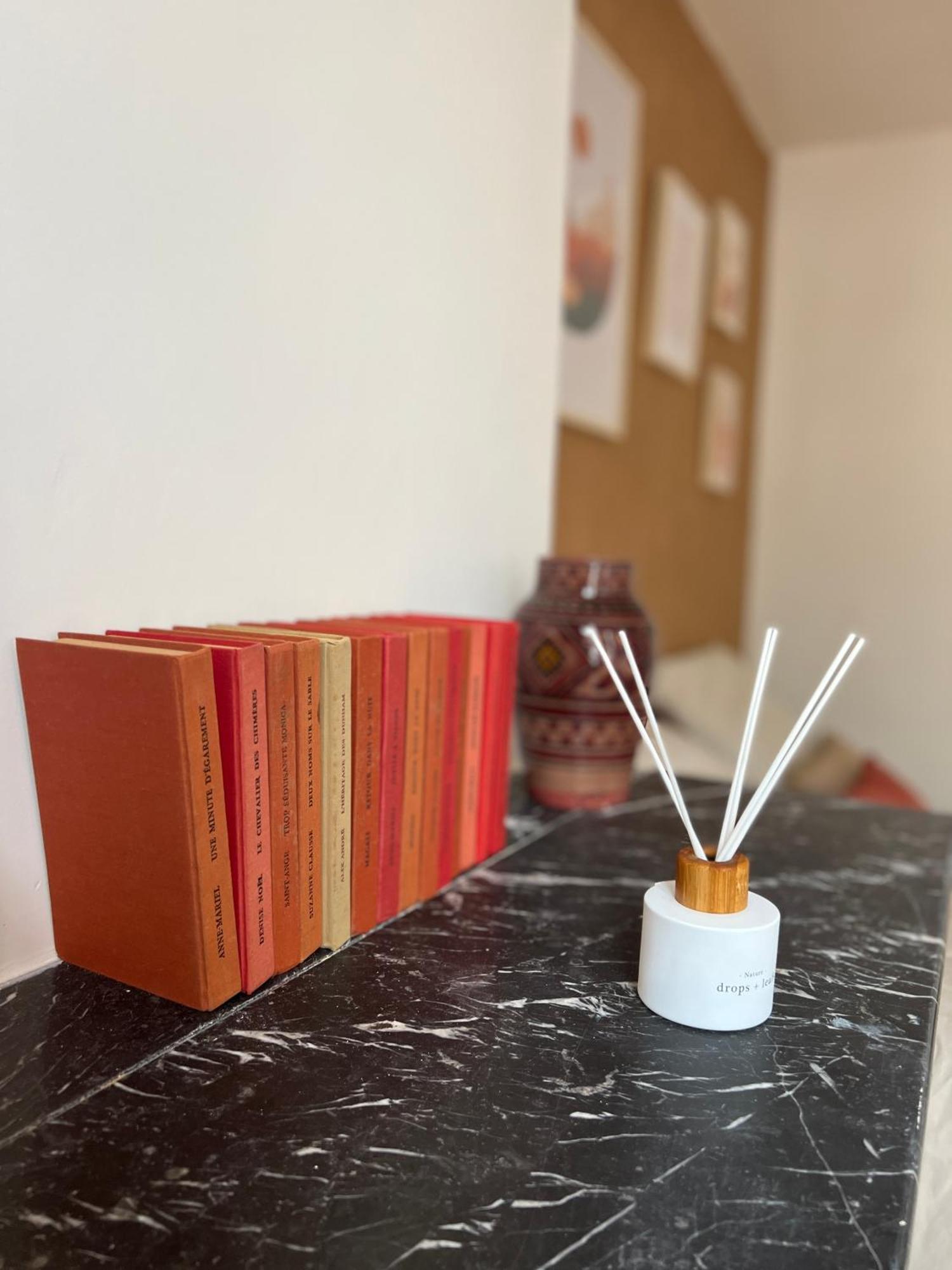 Appartement La petite Provence, hyper centre, Wifi à Dreux Extérieur photo